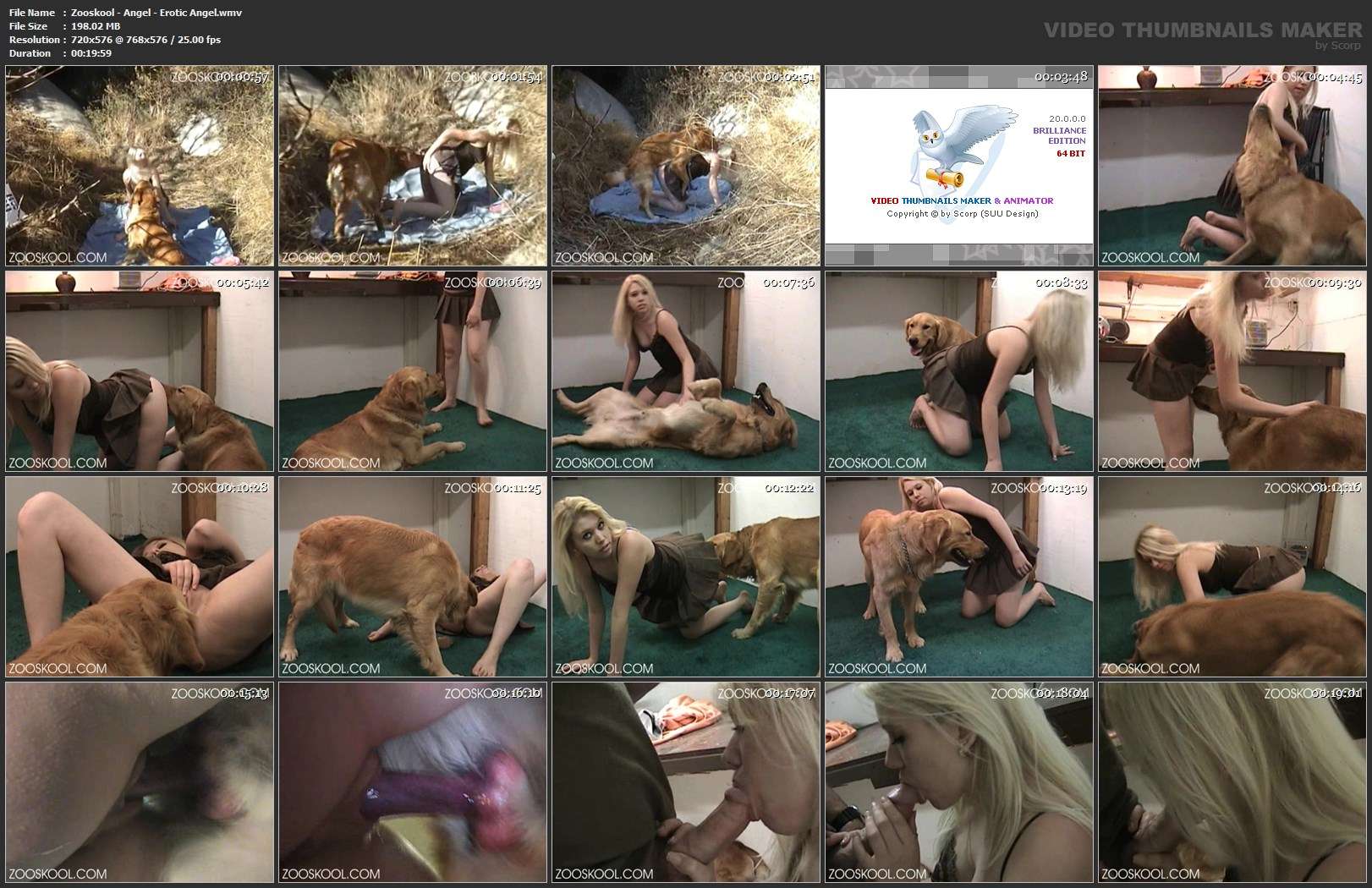 pinto de cavalo fodas com animais sexo bizarro animalsex Penetração Sexo com cachorro Pornografia de zoológico grátis Mad GloryQuest Japones sexo com cachorro cavalo mete com força na buceta